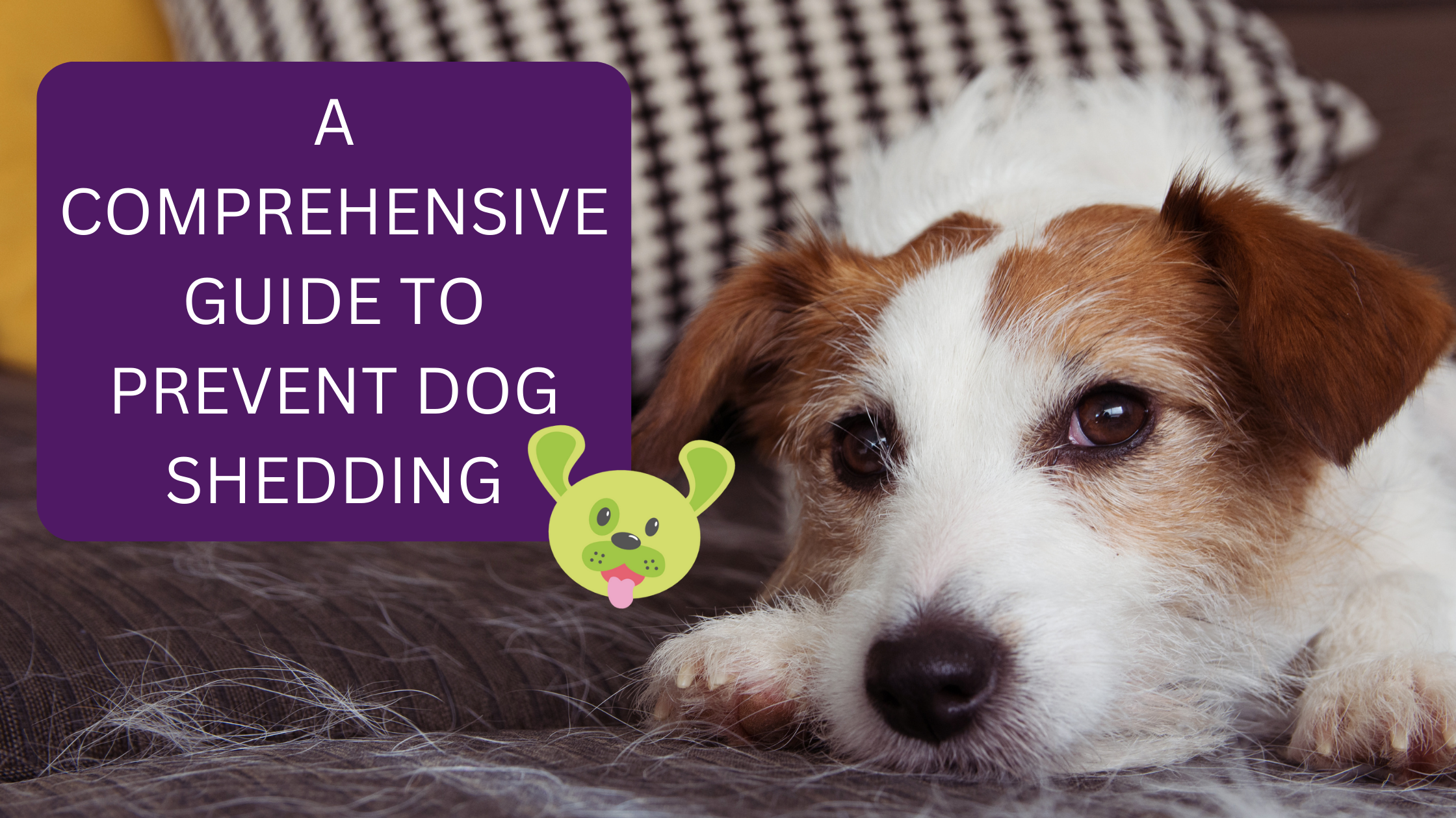 Prevent dog deals shedding