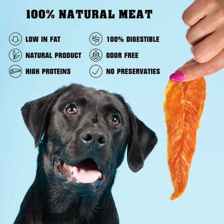 Chicken Jerky Dog Treats 1.5 Lb Human Grade Pet Snacks Grain Free Organic Meat All Natural High Protein Dried Strips Best Chews For Training Small & Large Dogs EcoBark Pet Supplies