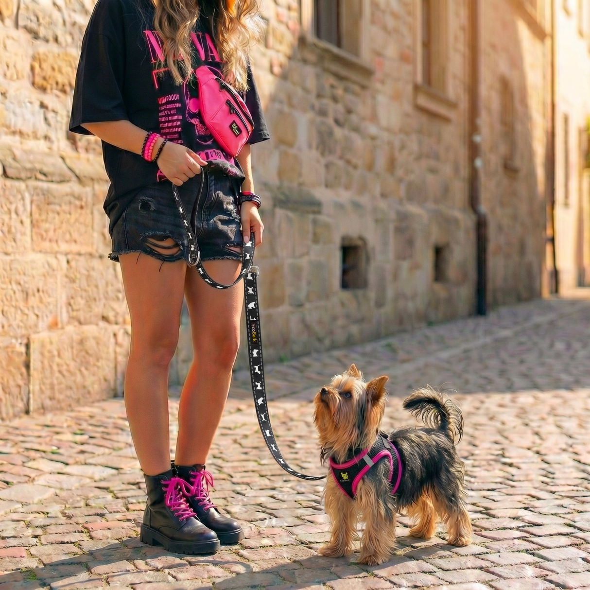 EcoBark Step In Dog Harness - XXXS to Small Breeds- Reflective Soft Mesh Harness for Teacup, Small Dogs and Puppies / Black w/ Pink Piping
