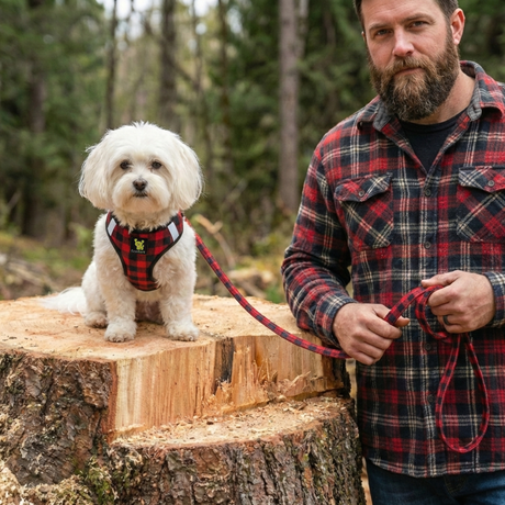 EcoBark Step In Dog Harness - XXXS to Small Breeds- Reflective Soft Mesh Harness for Teacup, Small Dogs and Puppies / Buffalo Plaid