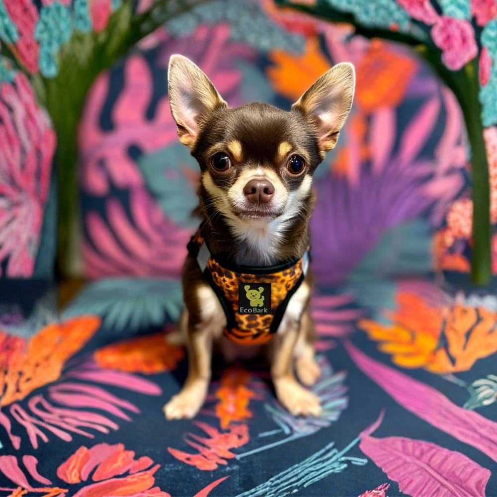 Step In Dog Harness & Leash Set - For Teacup & Small Dogs