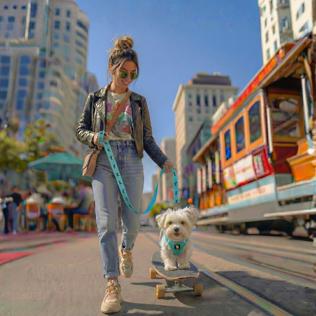 EcoBark Step In Dog Harness - XXXS to Small Breeds- Reflective Soft Mesh Harness for Teacup, Small Dogs and Puppies / Mint Turquoise