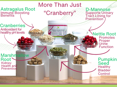 EcoBark Natural Urinary Tract Cranberry Supplements for Dogs - Bladder Health & Kidney Support for Dogs - UTI Relief - Dog Bladder Control Chews - Dog Cranberry Soft Chews for Dog Incontinence Support