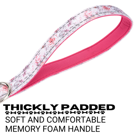 EcoBark Eco-Bright Dog Leashes EcoBark Pet Supplies