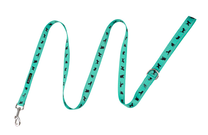 EcoBark Mint Turquoise Dog Leash - Comfort Grip Padded Leash - 5ft Dog Leash for Small and Medium Dogs