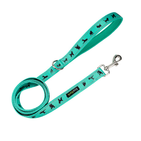 EcoBark Mint Turquoise Dog Leash - Comfort Grip Padded Leash - 4ft, 5ft, and 6ft Dog Leash for Small and Medium Dogs EcoBark Pet Supplies