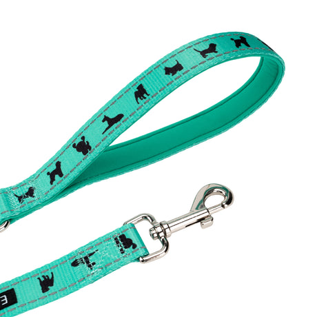 EcoBark Mint Turquoise Dog Leash - Comfort Grip Padded Leash - 4ft, 5ft, and 6ft Dog Leash for Small and Medium Dogs EcoBark Pet Supplies