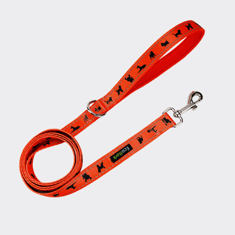 EcoBark Safety Orange Dog Leash- Padded Comfort Grip Leash with Dog Pattern - 4ft, 5ft, and 6ft Leash for Small and Medium Dogs EcoBark Pet Supplies