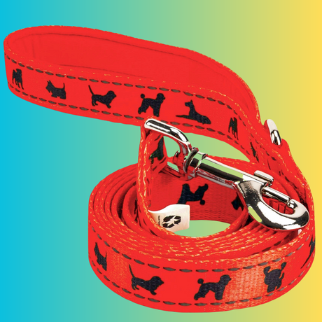 EcoBark Safety Orange Dog Leash- Padded Comfort Grip Leash with Dog Pattern - 4ft, 5ft, and 6ft Leash for Small and Medium Dogs EcoBark Pet Supplies