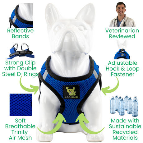 EcoBark Step In Dog Harness - Teacup & Small Breeds- Reflective Soft Mesh Harness for Teacup, Small Dogs and Puppies / Royal Blue EcoBark Pet Supplies