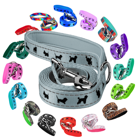 EcoBark Gray Dog Leash- Padded Comfort Grip Leash - 4ft, 5ft, and 6ft Leash for Small and Medium Dogs EcoBark Pet Supplies