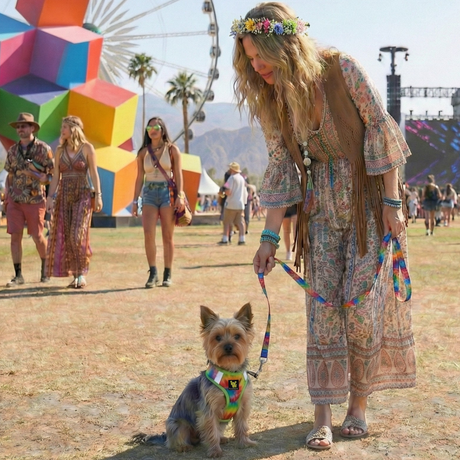 Tie Dye Dog Leash by EcoBark - Padded Comfort Grip Leash - 4ft, 5ft, and 6ft Leash for Small and Medium Dogs