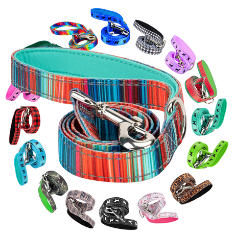 Stripe Dog Leash by EcoBark - Multicolor Padded Comfort Grip Leash - 4ft, 5ft, and 6ft Leash for Small and Medium Dogs EcoBark Pet Supplies