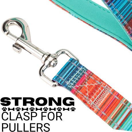 Stripe Dog Leash by EcoBark - Multicolor Padded Comfort Grip Leash - 4ft, 5ft, and 6ft Leash for Small and Medium Dogs EcoBark Pet Supplies