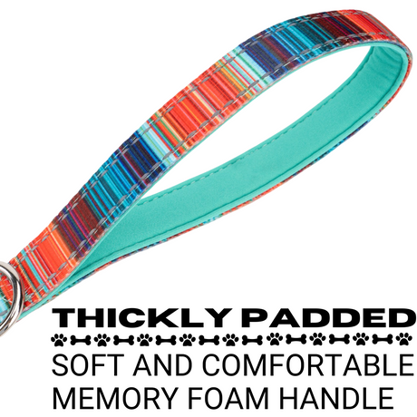 Stripe Dog Leash by EcoBark - Multicolor Padded Comfort Grip Leash - 4ft, 5ft, and 6ft Leash for Small and Medium Dogs EcoBark Pet Supplies