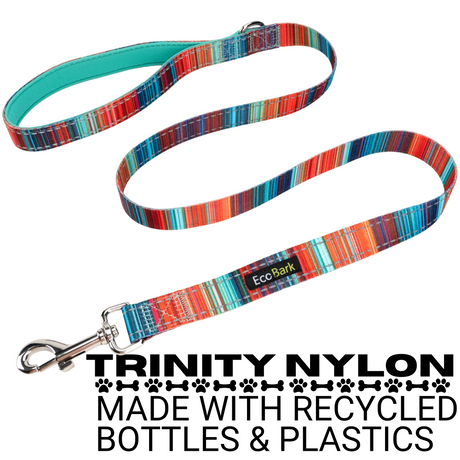 Stripe Dog Leash by EcoBark - Multicolor Padded Comfort Grip Leash - 4ft, 5ft, and 6ft Leash for Small and Medium Dogs EcoBark Pet Supplies
