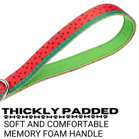 EcoBark Watermelon Dog Leash- Padded Comfort Grip Leash - 4ft, 5ft, and 6ft Leash for Small and Medium Dogs EcoBark Pet Supplies