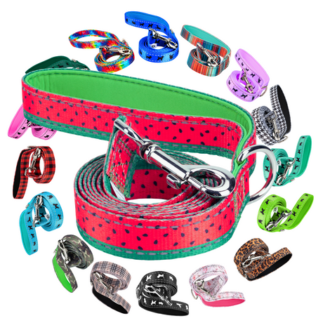 EcoBark Watermelon Dog Leash- Padded Comfort Grip Leash - 4ft, 5ft, and 6ft Leash for Small and Medium Dogs EcoBark Pet Supplies