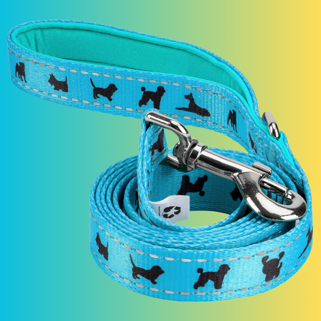 EcoBark Sky Blue Dog Leash- Padded Comfort Grip Padded Leash Dog Pattern - 5 Foot Leash for Small and Medium Dogs