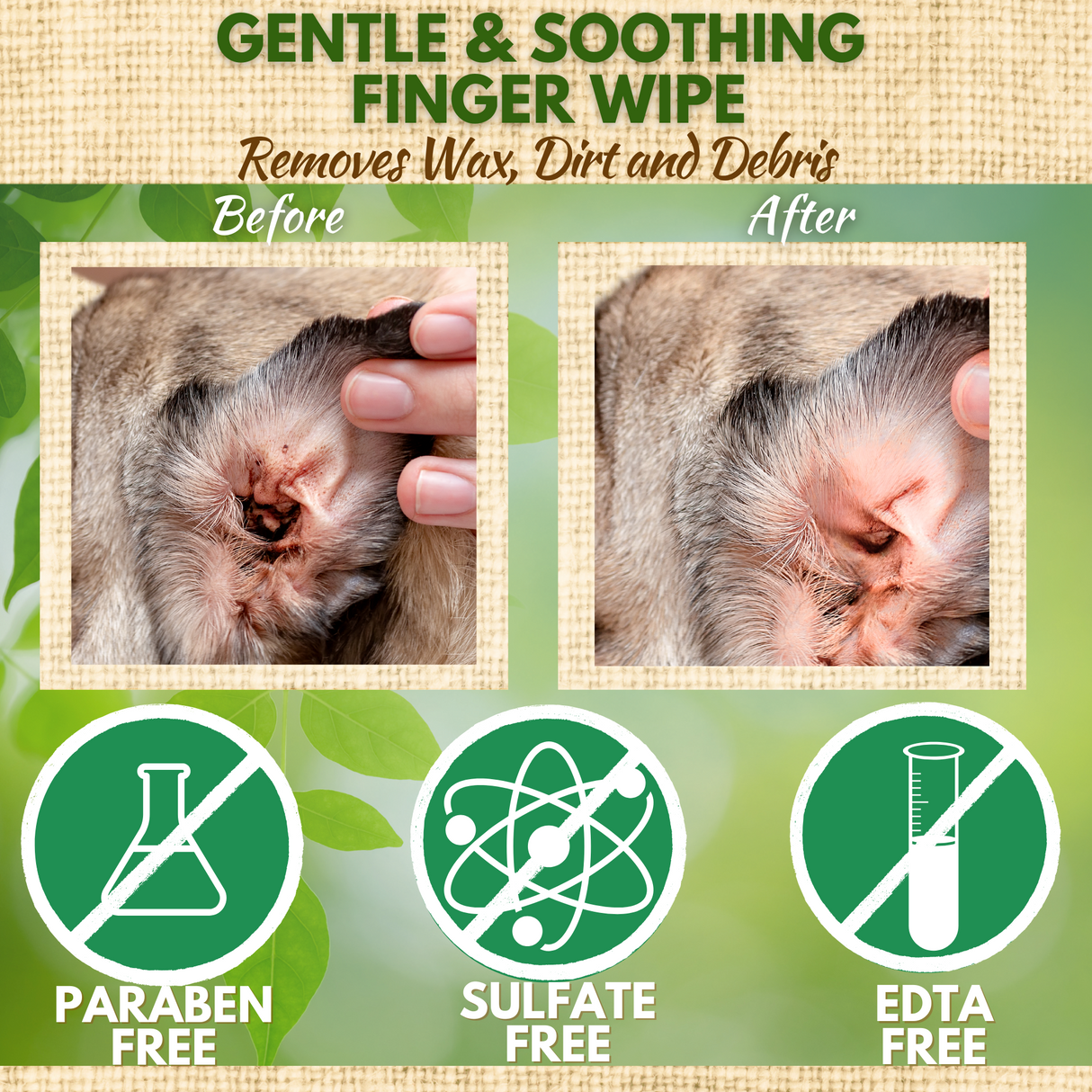 Before and after comparison of a dog's ear cleaned with EcoBark gentle and soothing finger wipes, showing the removal of wax, dirt, and debris.