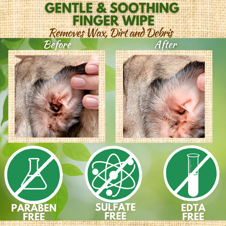 Before and after comparison of a dog's ear cleaned with EcoBark gentle and soothing finger wipes, showing the removal of wax, dirt, and debris.