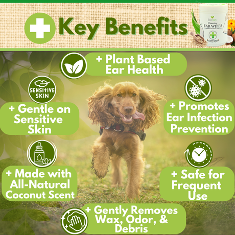 Key benefits of EcoBark coconut scented dog ear wipes, including plant-based ear health, gentle on sensitive skin, and infection prevention, featuring a happy brown dog.