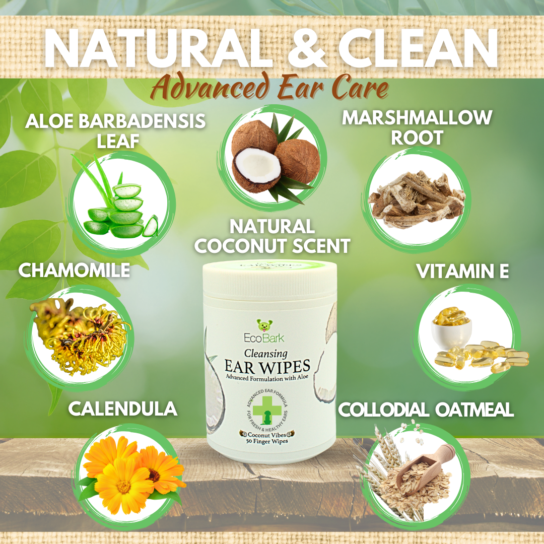 Infographic for EcoBark Natural Dog Ear Cleaning Wipes highlighting key botanical ingredients: Aloe Barbadensis Leaf, Marshmallow Root, Chamomile, Calendula, Vitamin E, and Colloidal Oatmeal. The image features a coconut scent and the product tub against a green leafy background.