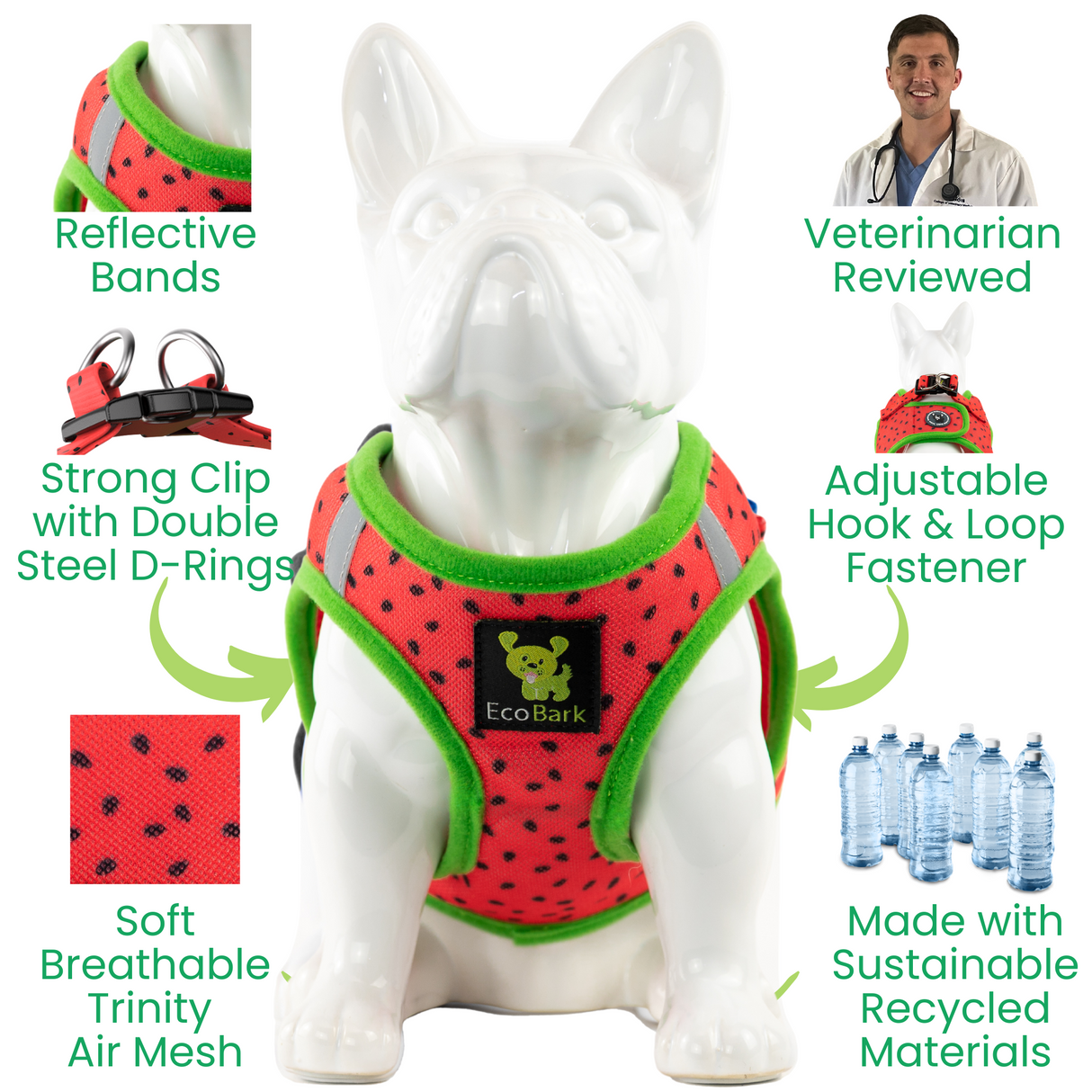 Infographic showing a small white frenchie model wearing an EcoBark watermelon mesh step-in dog harness. Text highlights features including reflective bands, a strong clip with double steel D-rings, soft breathable Trinity air mesh, an adjustable hook and loop fastener, eco-friendly sustainable eco-friendly recycled materials, and veterinarian-reviewed design.