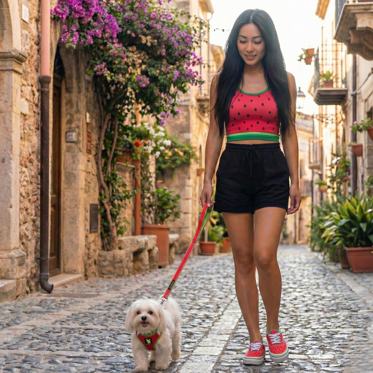 A tiny maltese dog wearing a bright pink EcoBark watermelon patterned reflective mesh step-in harness while walking outside.