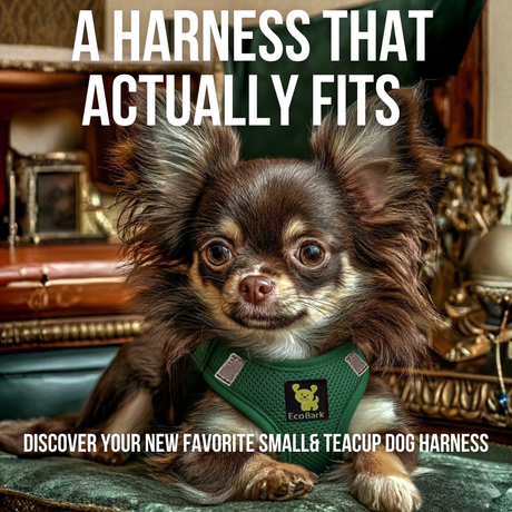 EcoBark Step In Dog Harness - XXXS to Medium Breeds- Reflective Soft Mesh Harness for Teacup, Small Dogs and Puppies / Forest Green