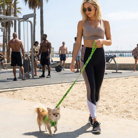 A woman in athletic wear walking an xxs fluffy chihuahua wearing a lime green EcoBark mesh step-in dog harness and matching leash on a sandy path at Muscle Beach