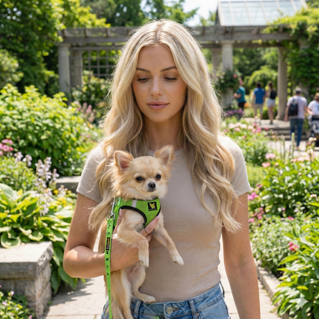 EcoBark Step In Dog Harness - XXXS to Small Breeds- Reflective Soft Mesh Harness for Teacup, Small Dogs and Puppies / Neon Green Sport