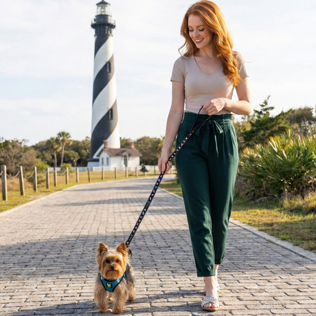EcoBark Step In Dog Harness - Teacup & Small Breeds- Reflective Soft Mesh Harness for Teacup, Small Dogs and Puppies / Teal EcoBark Pet Supplies