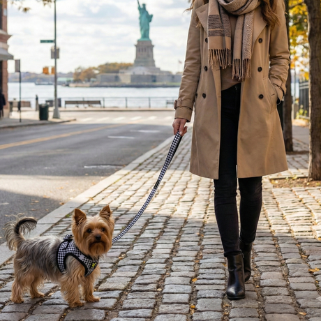 Extra Small Yorkshire Terrier wearing a mesh houndstooth dog harness on a leash held by a woman, with the Statue of Liberty in the background.