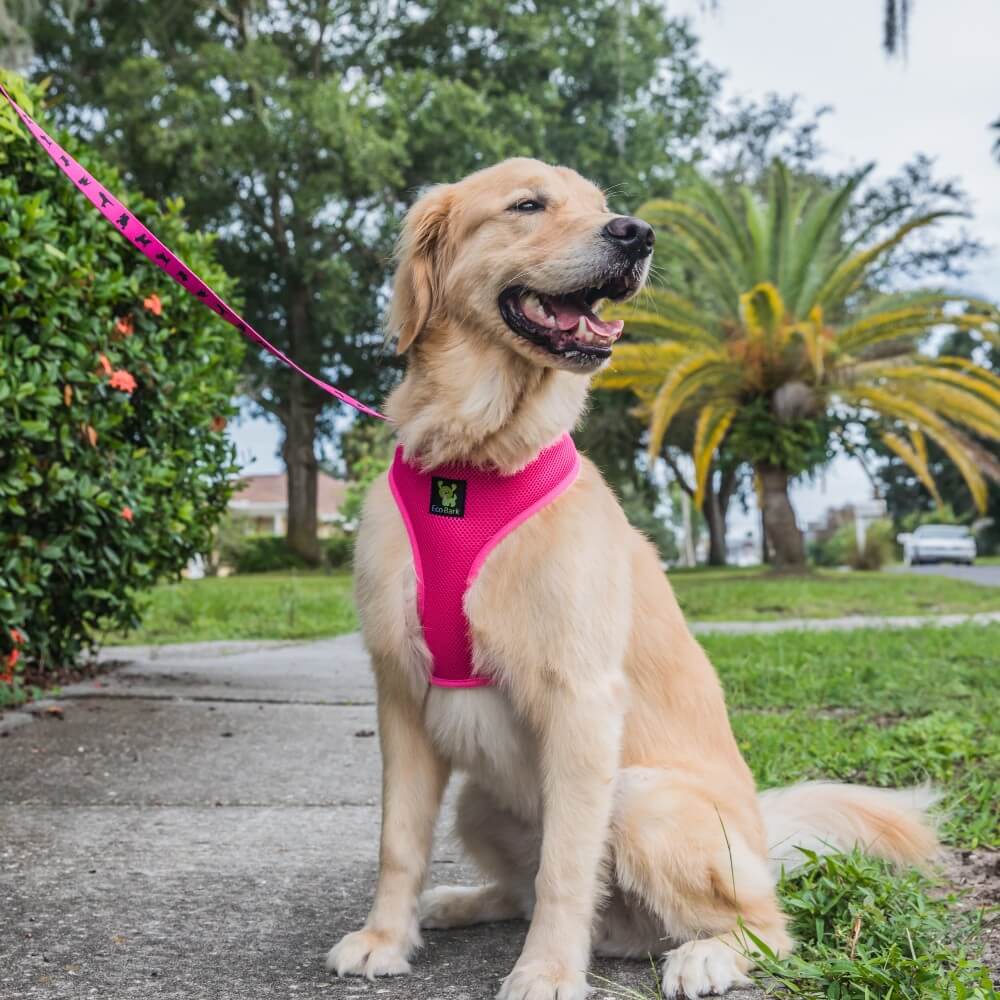 EcoBark Pet Supplies
