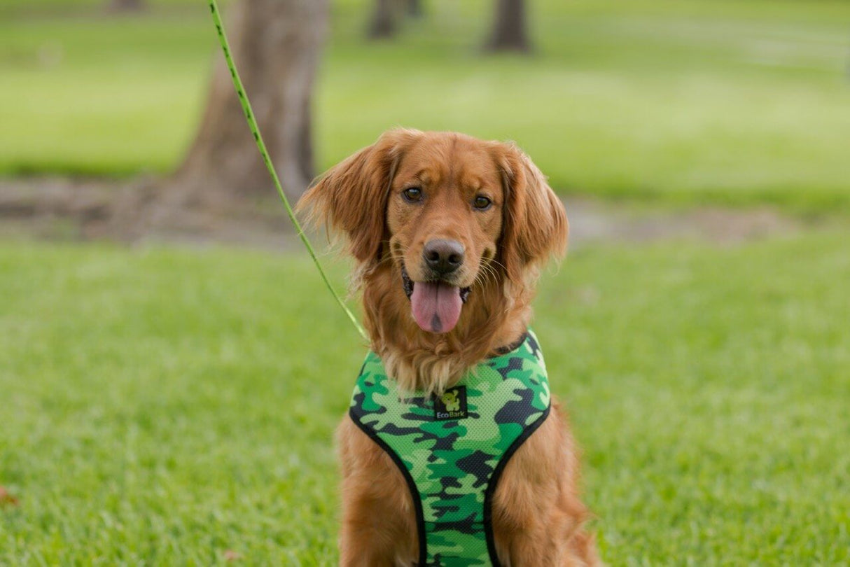 EcoBark Pet Supplies