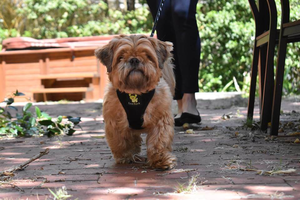 EcoBark Pet Supplies