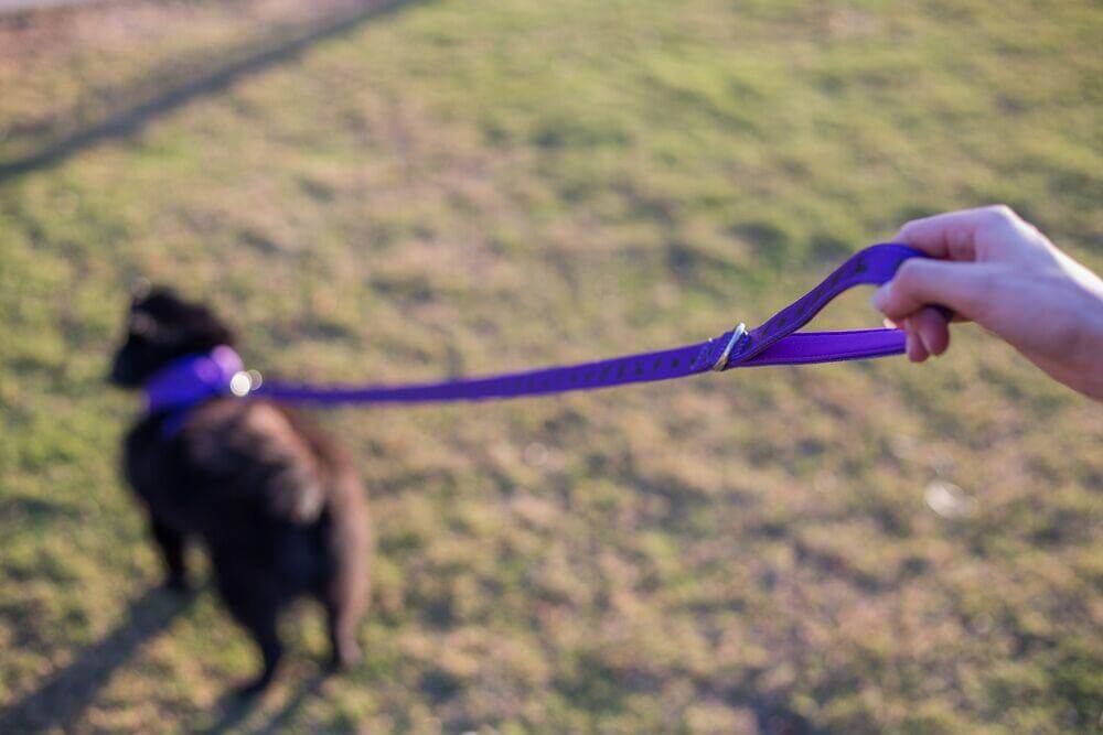 EcoBark Pet Supplies