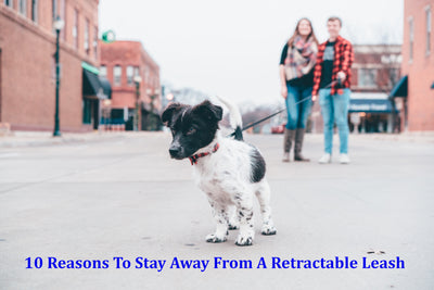 10 Reasons to Stay Away from a Retractable Leash