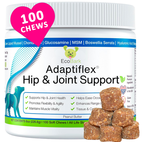 Best-Arthritis-Supplement-for-dogs