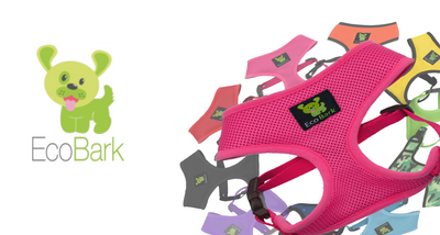 EcoBark Pet; Setting the Stage for Ethical Choices in Dog Accessories