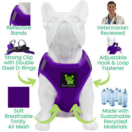 Extra-Small-Dog-Harness