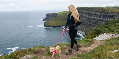 Rover Names EcoBark The Best Harnesses for Puppies & Small Dogs