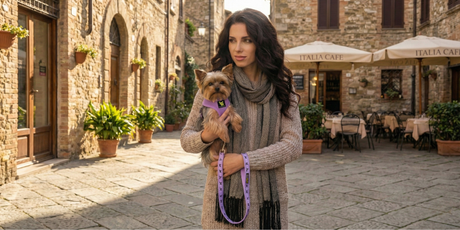 2 lb dog wearing XXS dog harness