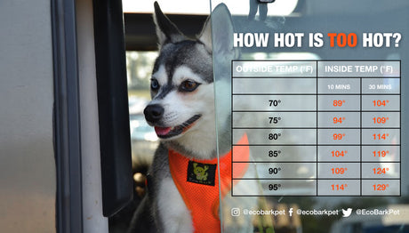 EcoBark Car Temp Image