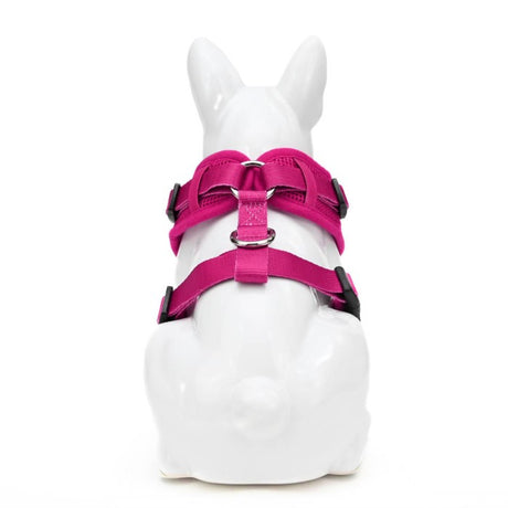 EcoBark Custom-Fit Neck Adjustable Dog Harness