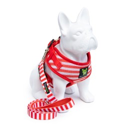 Striped Comfort Fit Harness Collection