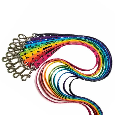 EcoBark's Eco-Friendly Dog Leashes