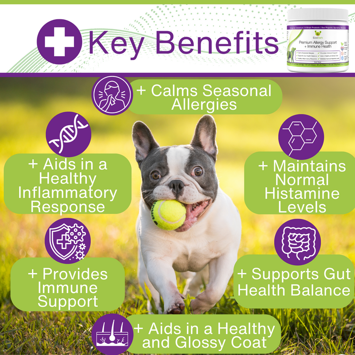 EcoBark Premium Allergy Support + Immune Health - Immune Support Supplement for Dogs