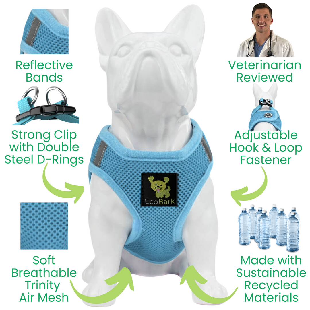 EcoBark Sky Blue Step In Dog Harness - Rapid Fastener Reflective Soft Mesh for XXXS to Small Dogs and Puppies
